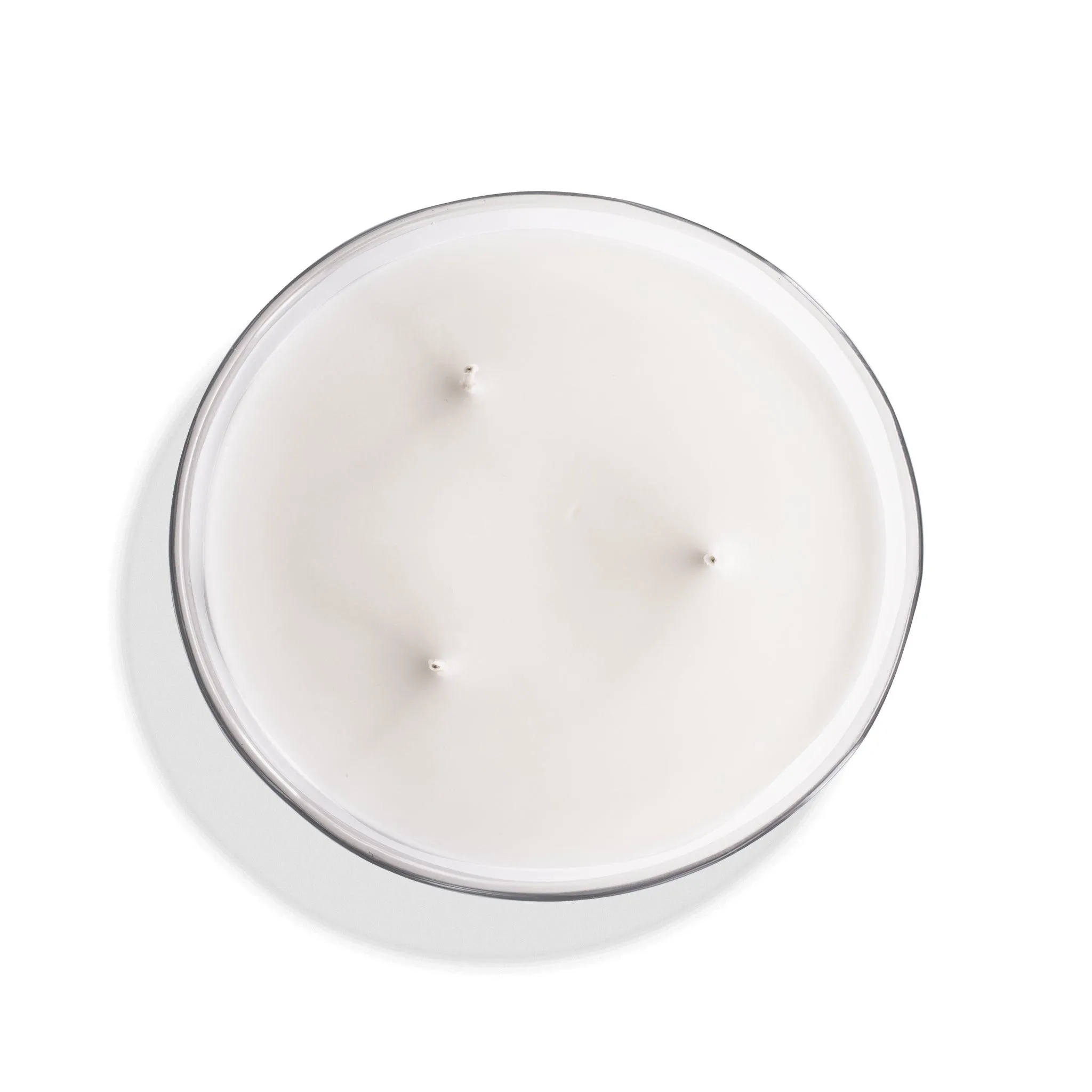 Bois de Cèdre | Grande Bougie parfumée